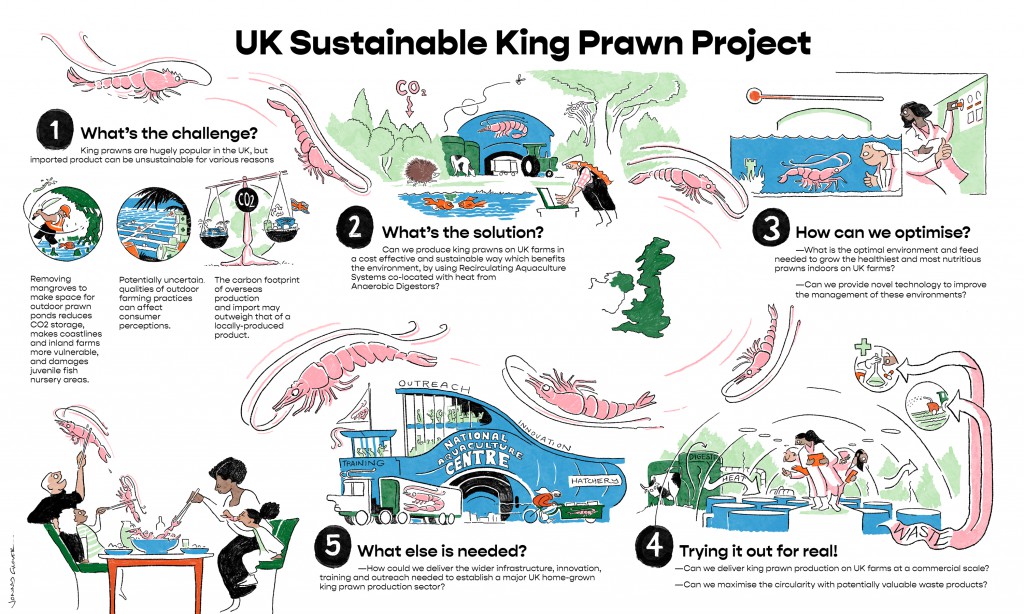 Exeter-Final-Delivery-King-Prawn-Production-UK-FinalAmends-LowRes (1) Exeter-Final-Delivery-King-Prawn-Production-UK-FinalAmends-LowRes (1)
